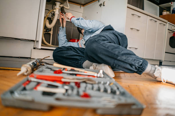 Best Toilet Repair Services  in Cortland West, NY