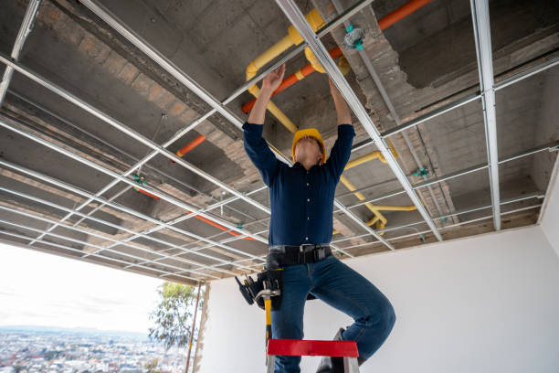 Best Local Plumber Services  in Cortland West, NY