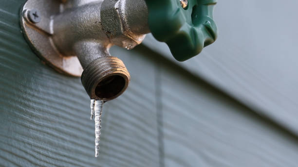 Best Water Softener Installation  in Cortland West, NY