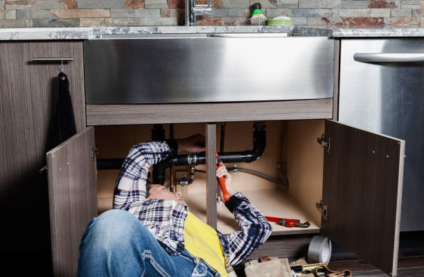 Best Residential Plumbing Services  in Cortland West, NY